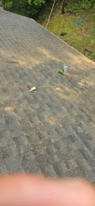 A grey shingled roof is covered in sawdust and small debris with a metal vent pipe visible
