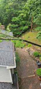 A high-angle view showing a large fallen tree branch resting on a house roof over a brick patio